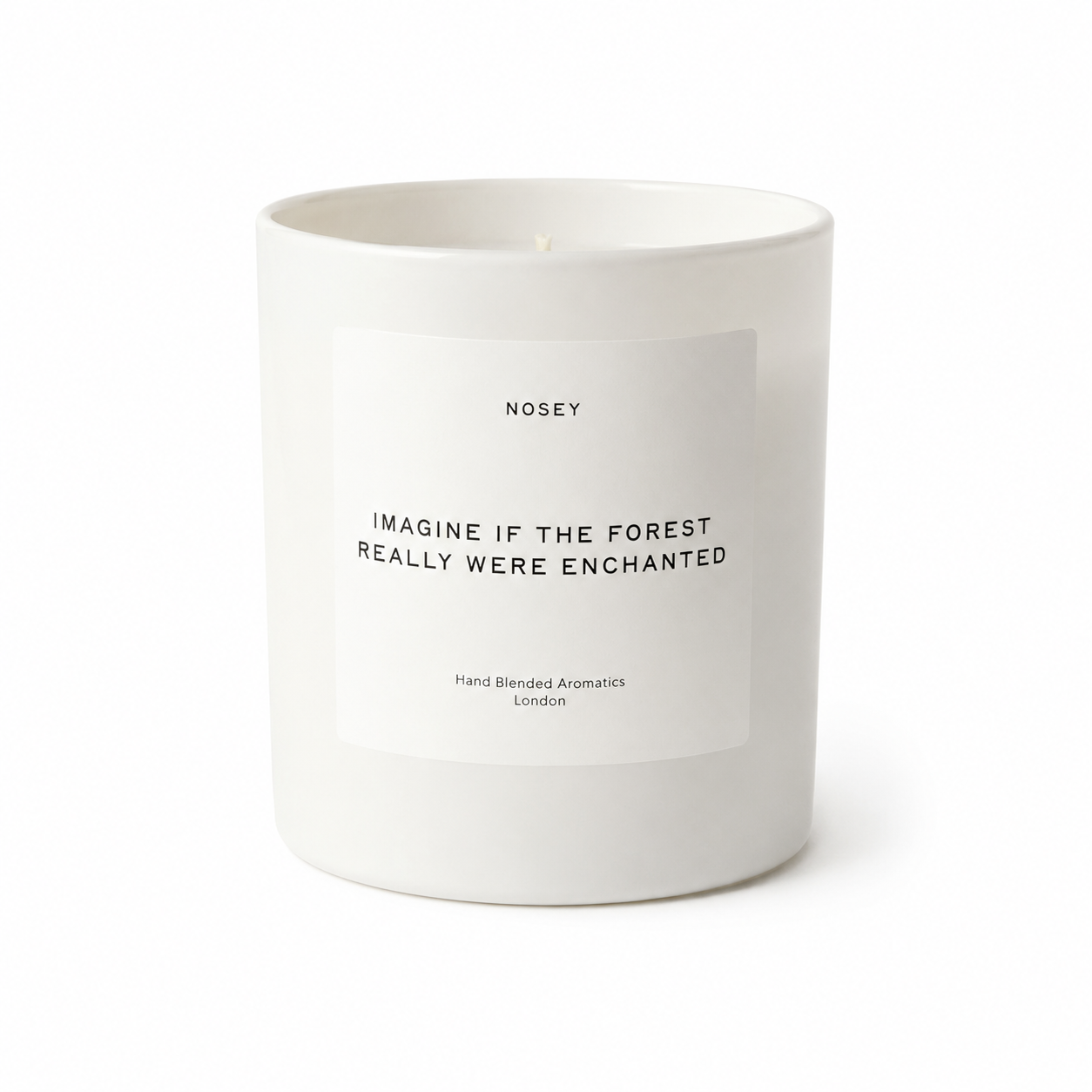 Nosey Candles Imagine if the forest were enchanted Jar Candle